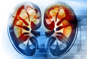 ayurvedic treatment for kidney diseases